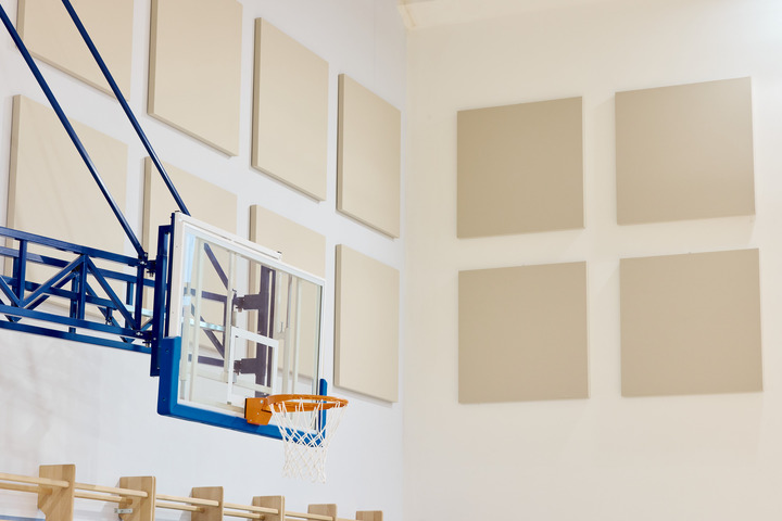 Phonolook Solution: the perfect solution for the acoustic comfort for the Gym of th Efrem Reatto School in Valdobbiadene